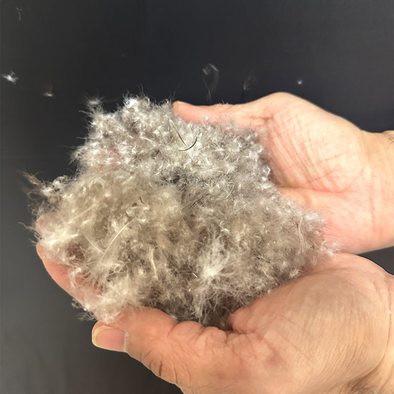 %80 Gri ​​Ördek Tüyü