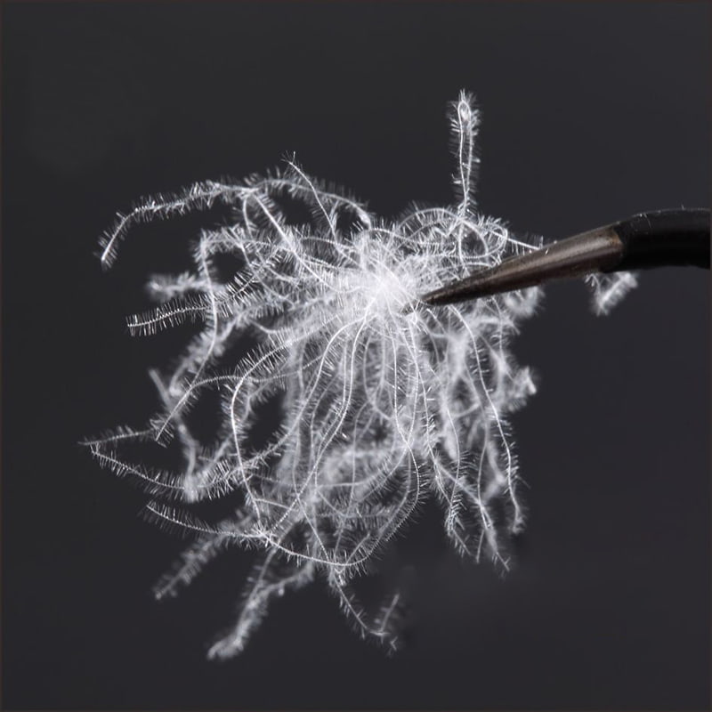 %80 Saf Beyaz Ördek Tüyü