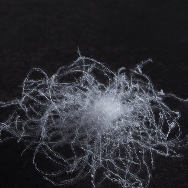 %90 Saf Beyaz Kaz Tüyü %90 Saf Beyaz Kaz Tüyü