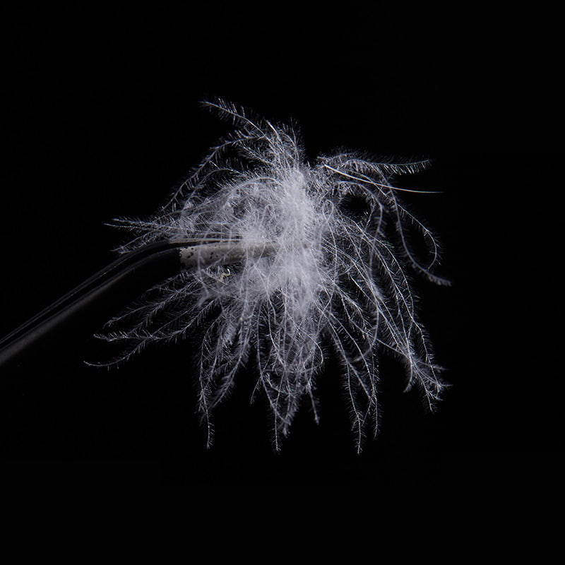 %50 Saf Beyaz Ördek Tüyü